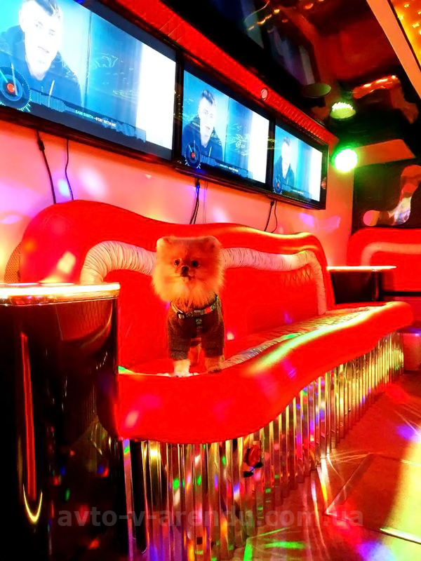 Аренда Party Bus Game Bus Infinity с водителем в Киеве