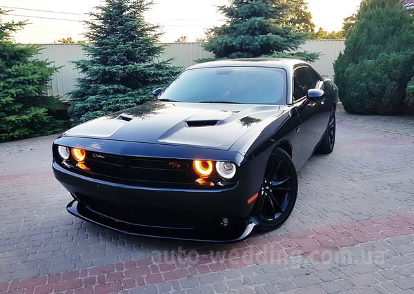 Авто на свадьбу Dodge Challenger черный