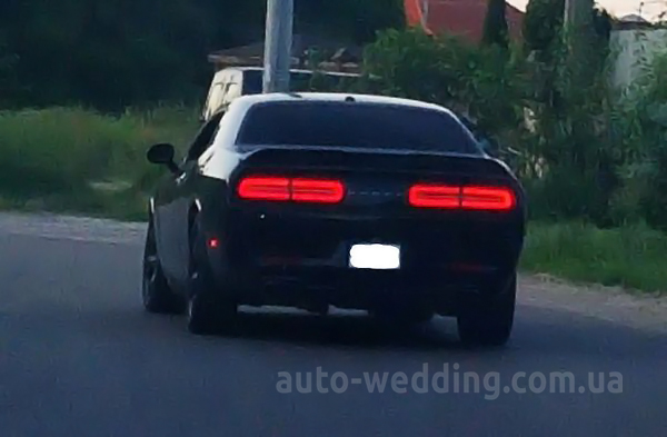 Авто на свадьбу Dodge Challenger черный