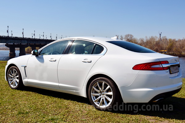 Авто на свадьбу Jaguar XF белый